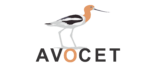 Avocet